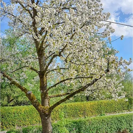 Southwest Appartement