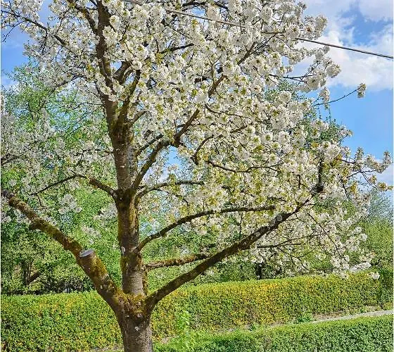 Southwest Апартаменты