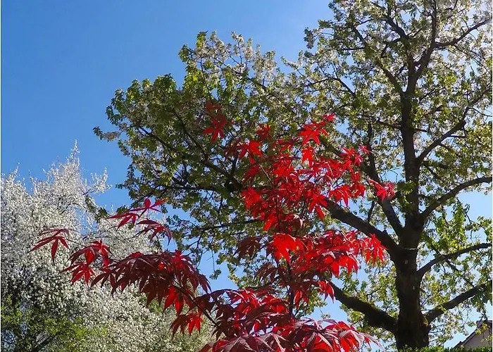 Southwest * Любляна